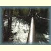 STSC2001_13.jpg 2.7K