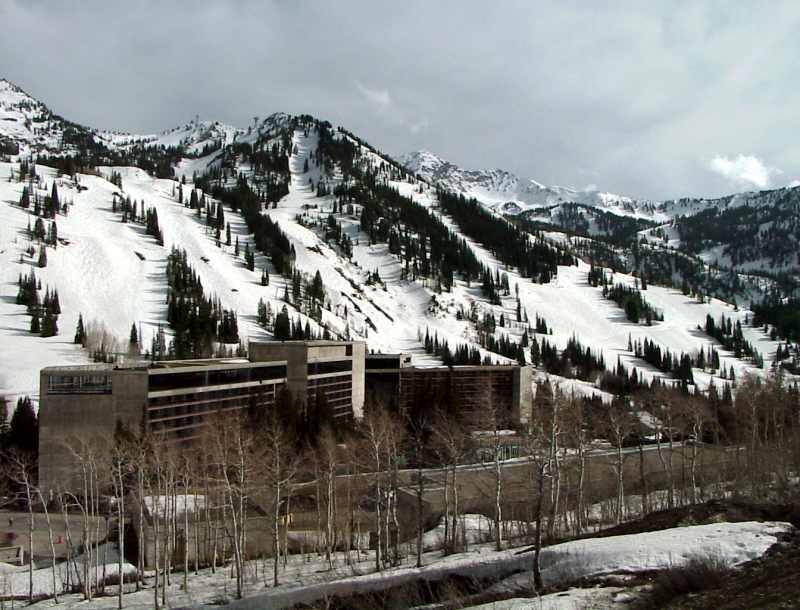 snowbird01.jpg 63.8K