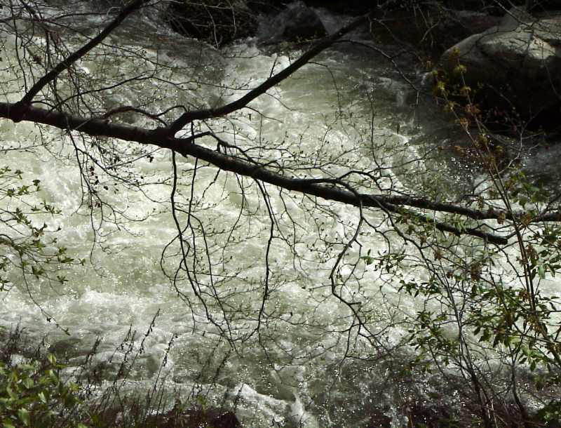 water02.jpg 91.2K